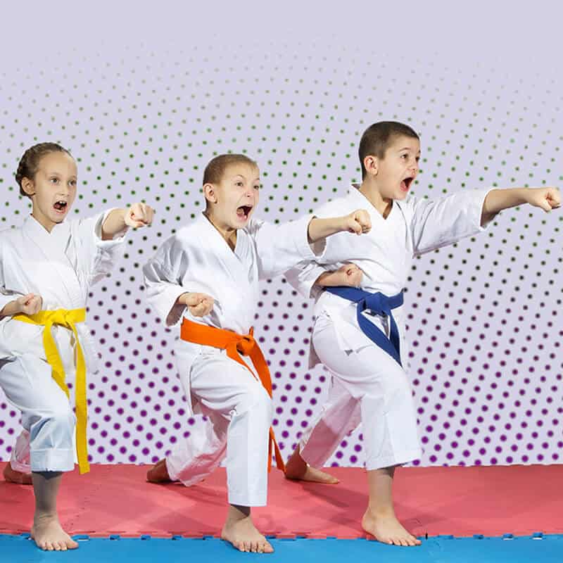 Martial Arts Lessons for Kids in _Cobourg_ _ON_ - Punching Focus Kids Sync